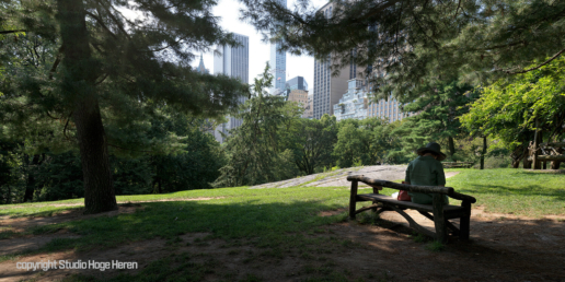 Take a rest in Central Park New York - Studio Hoge Heren fotostudio Rotterdam